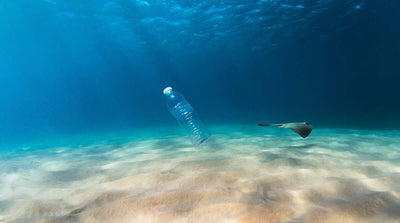 7 Reasons Plastic Bottles are Dangerous for Your Health and Environment